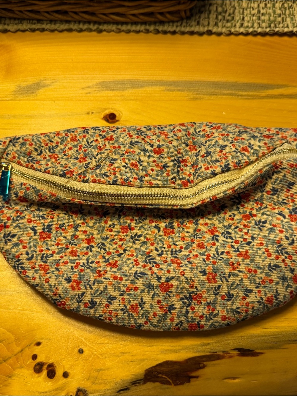 Floral Canvas Mini Waist Bag in Beige with Red & Blue Accents